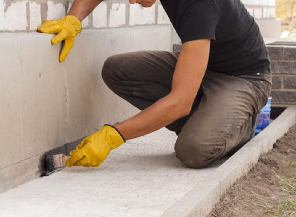 Image of plants growing along a wall
